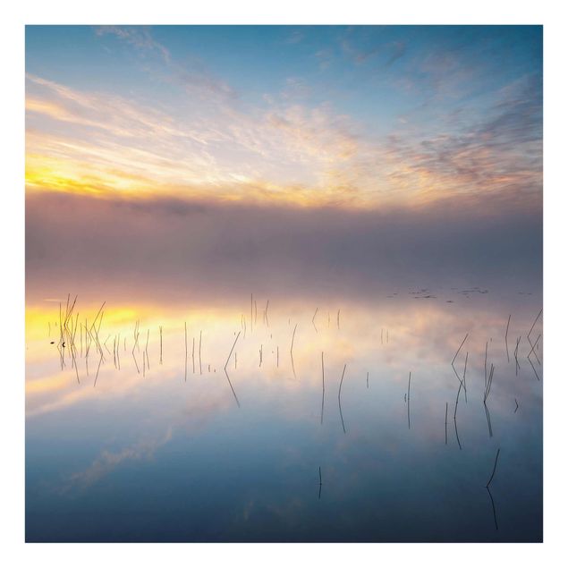 Glasbilder Landschaften Sonnenaufgang schwedischer See