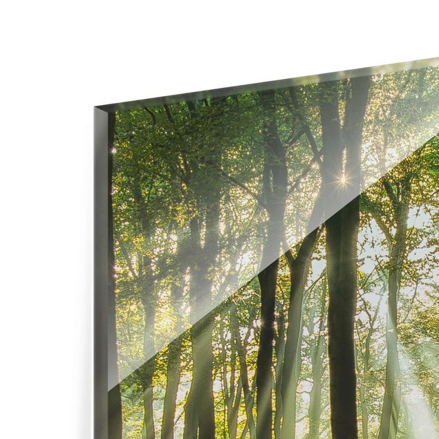 Glasbild - Sonnentag im Wald - Quadrat 1:1