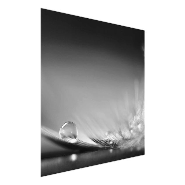 Bilder auf Glas Story of a Waterdrop Black White