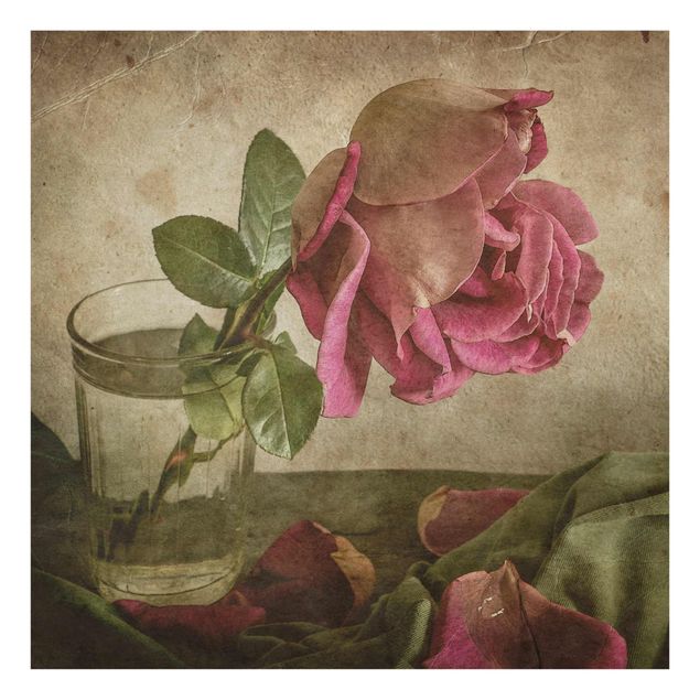Bilder auf Glas Tear of a Rose