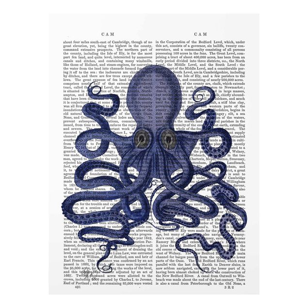 Schöne Wandbilder Tierlektüre - Oktopus