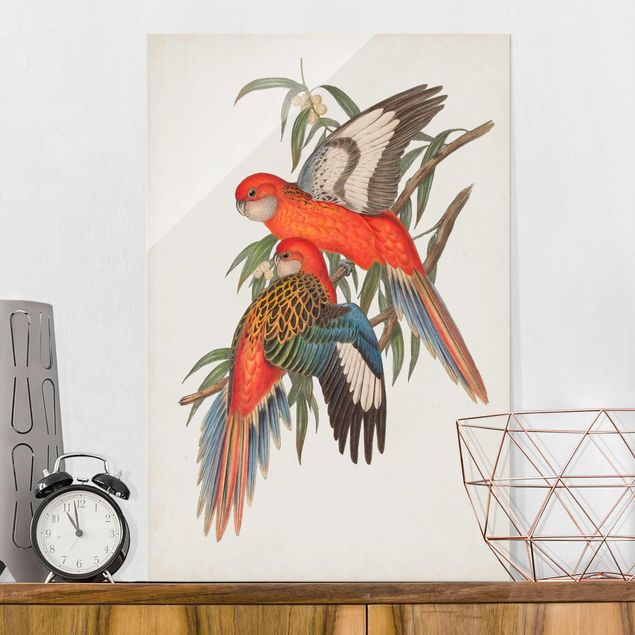Wandbilder Tiere Tropische Papageien I