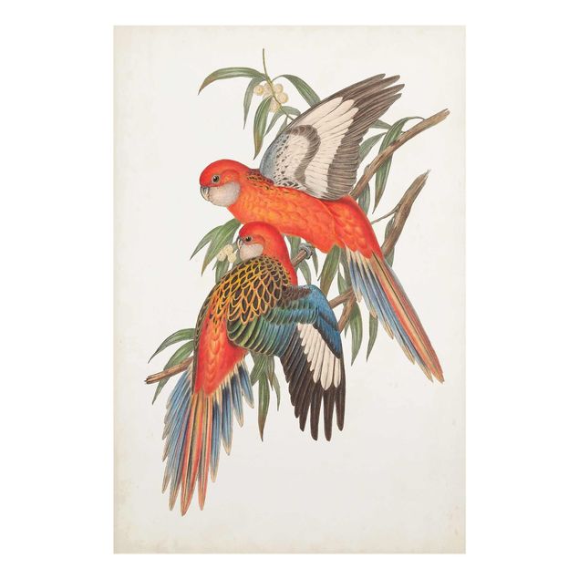 Wandbilder Tropische Papageien I
