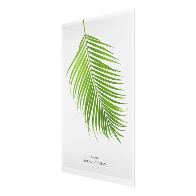 Glasbild - Tropisches Blatt Areca Palme - Hochformat 2:3