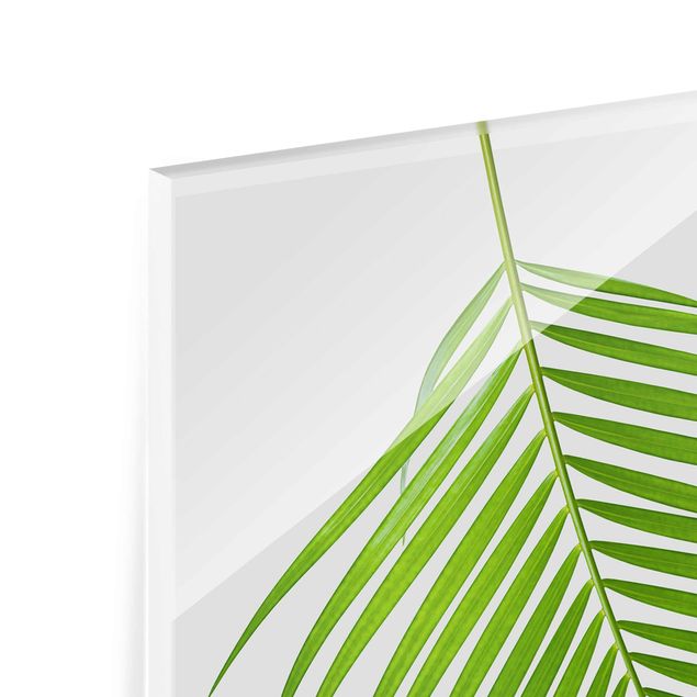 Glasbild - Tropisches Blatt Areca Palme - Hochformat 2:3
