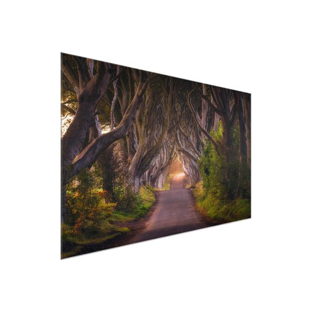 Bilder für die Wand Tunnel aus Bäumen