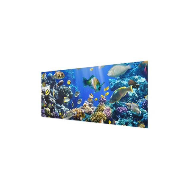 Glasbilder Underwater Reef