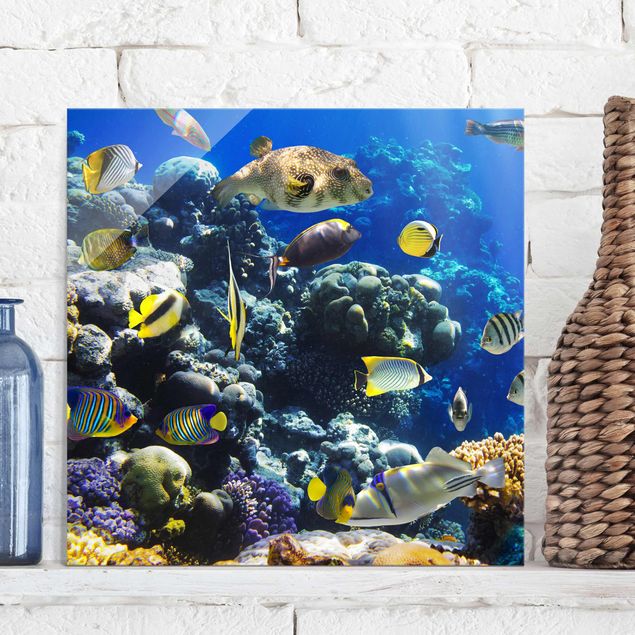Wandbilder Tiere Underwater Reef