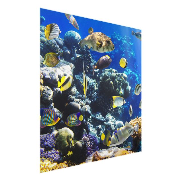 Natur Glasbilder Underwater Reef