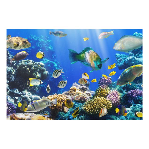 Schöne Wandbilder Underwater Reef