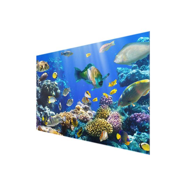 Bilder auf Glas Underwater Reef