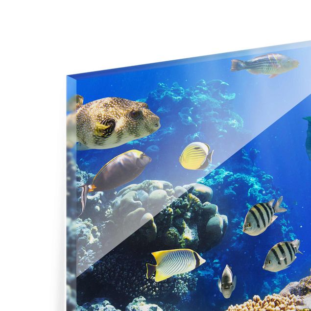 Glasbild - Underwater Reef - Quer 3:2