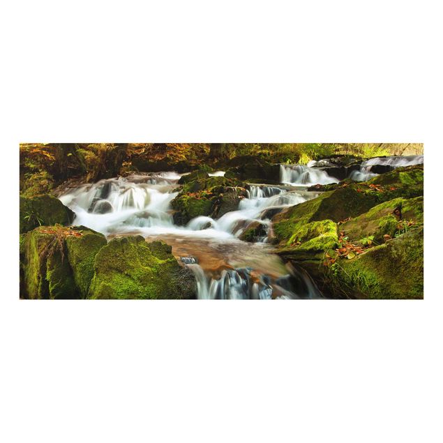 Schöne Wandbilder Wasserfall herbstlicher Wald