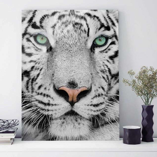 | Weißer 3:4 Hochformat Tiger Bilderwelten Glasbild im