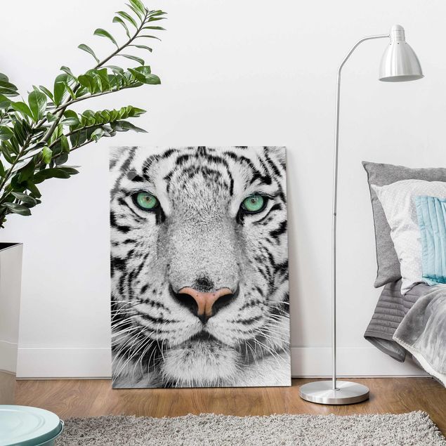 Wandbilder Glas XXL Weißer Tiger