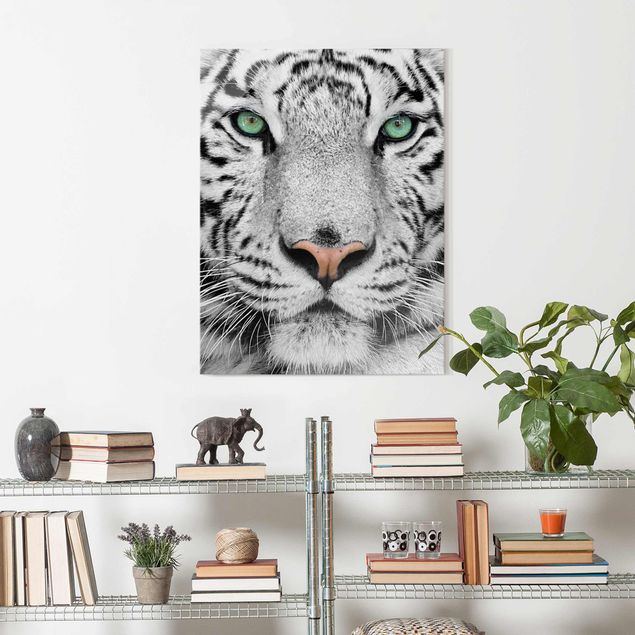 Schwarz-Weiß Glasbilder Weißer Tiger