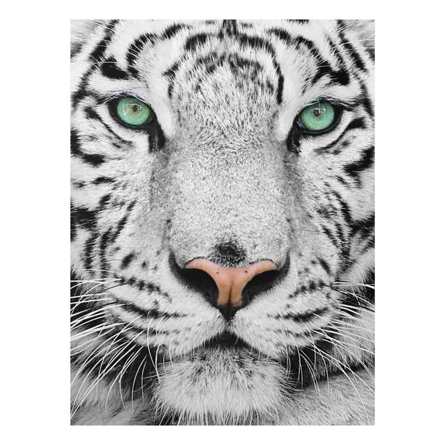 Glasbilder Grün Weißer Tiger