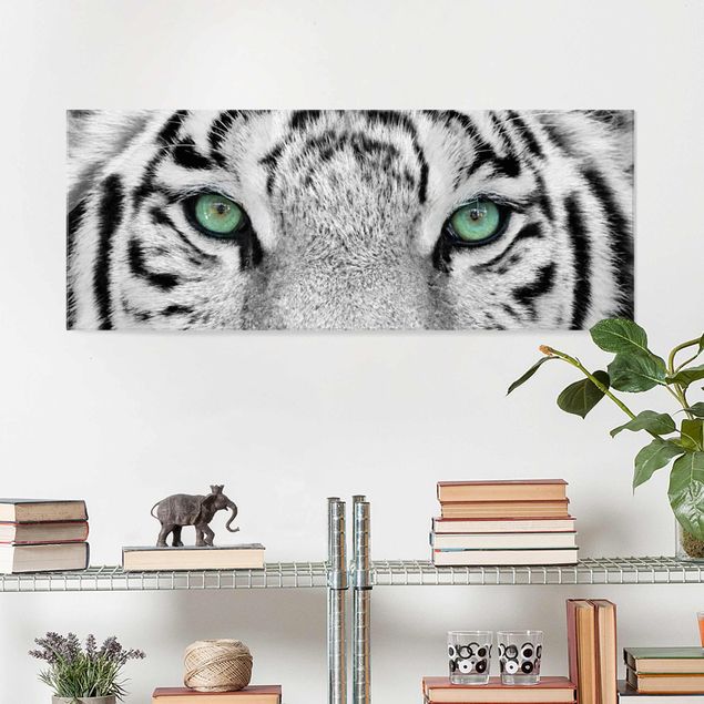 Glas-Bild Wandbilder Druck auf Glas 100x70 Deko Tiere Weißer Tiger 