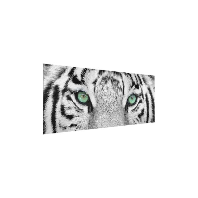 Glasbild Tiere Weißer Tiger