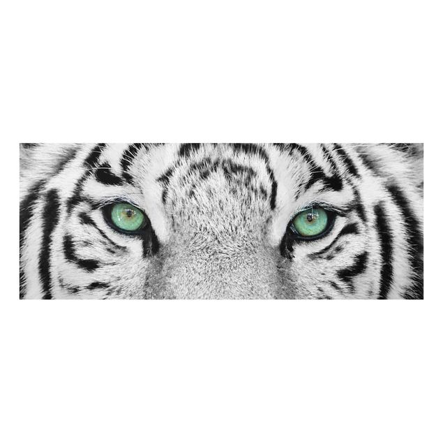 Grüne Glasbilder Weißer Tiger
