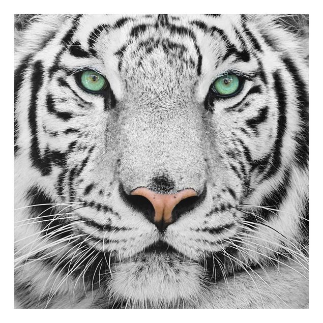 Glasbild Grün Weißer Tiger