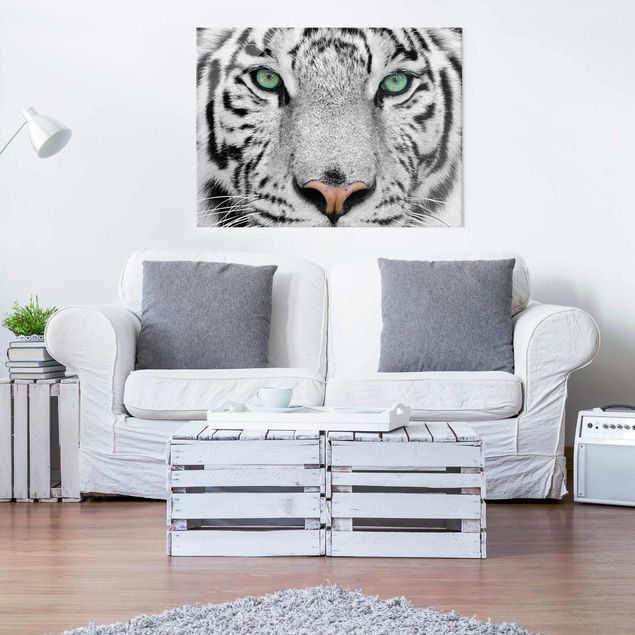 Glasbilder XXL Weißer Tiger