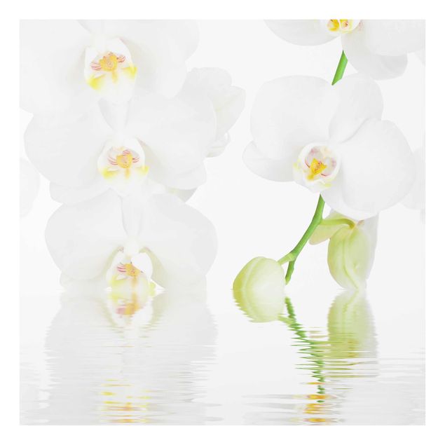 Wandbilder Wellness Orchidee