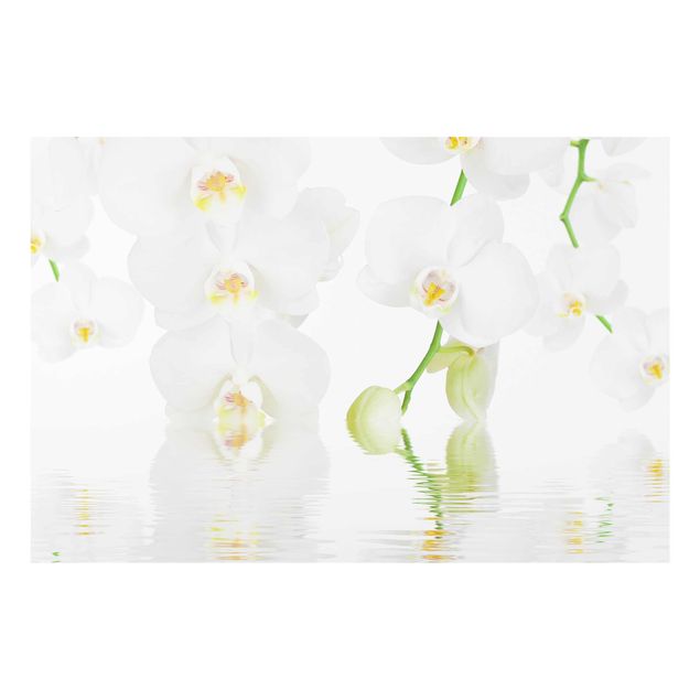 Schöne Wandbilder Wellness Orchidee