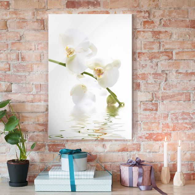 Glasbilder XXL White Orchid Waters