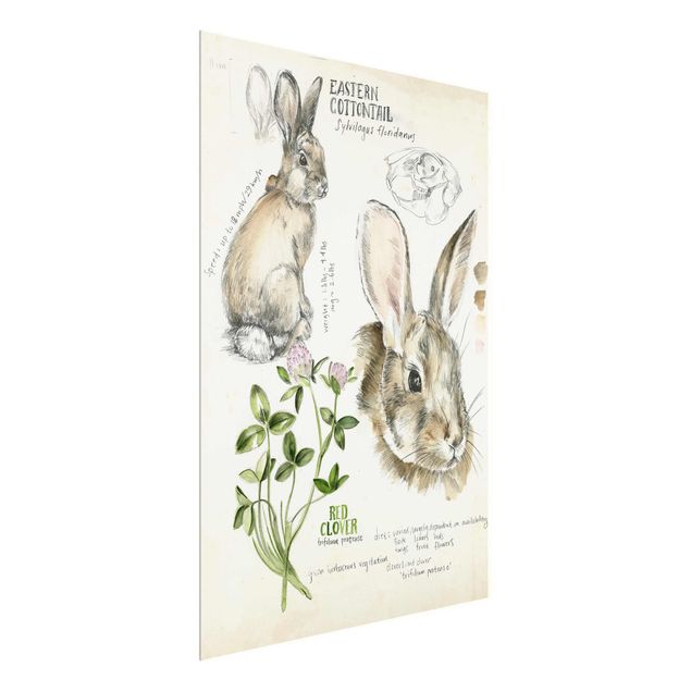 Glasbild Natur Wildnis Journal - Kaninchen