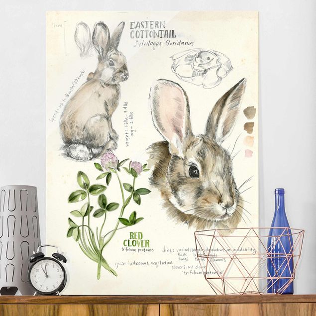 Wandbilder Tiere Wildnis Journal - Kaninchen