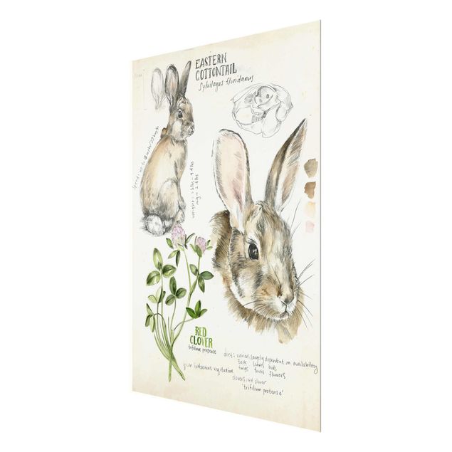 Bilder auf Glas Wildnis Journal - Kaninchen