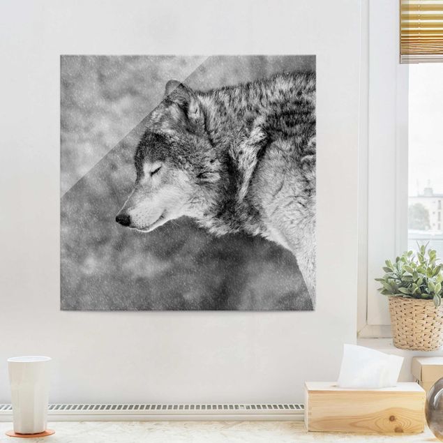 Wandbilder Tiere Winter Wolf