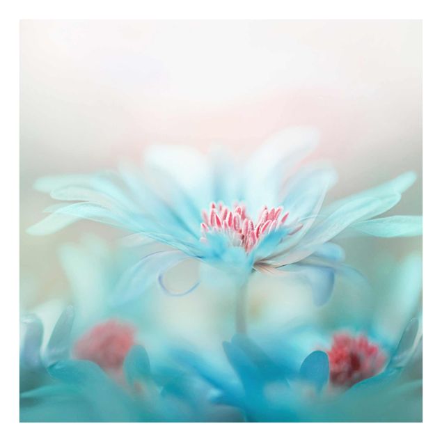 Bilder auf Glas Zarte Blüten in Pastell
