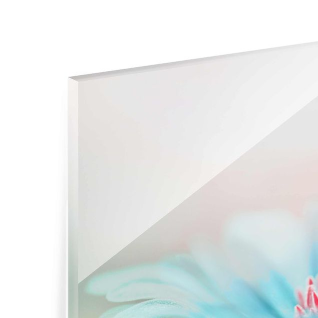 Glasbild - Zarte Blüten in Pastell - Quadrat 1:1