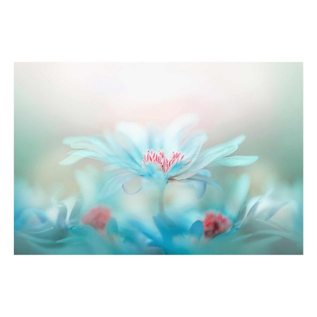 Glasbilder Zarte Blüten in Pastell