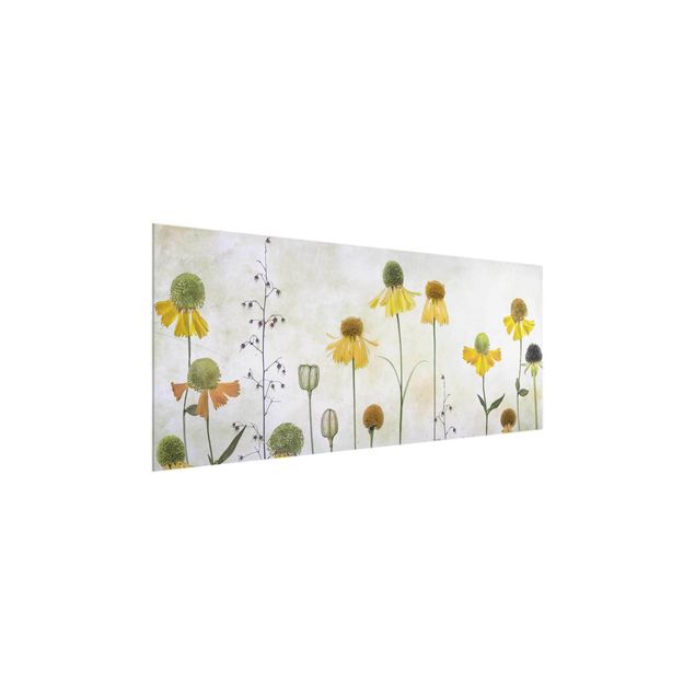 Bilder für die Wand Zarte Helenium Blüten
