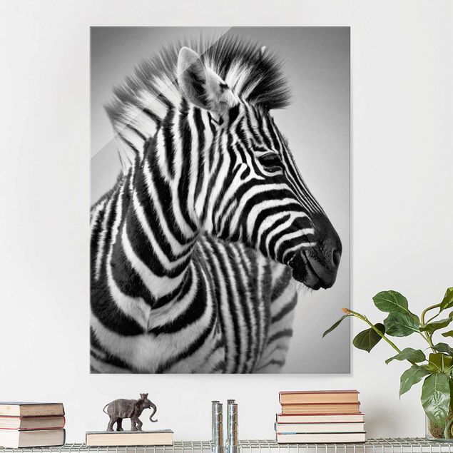 Wandbilder Tiere Zebra Baby Portrait II