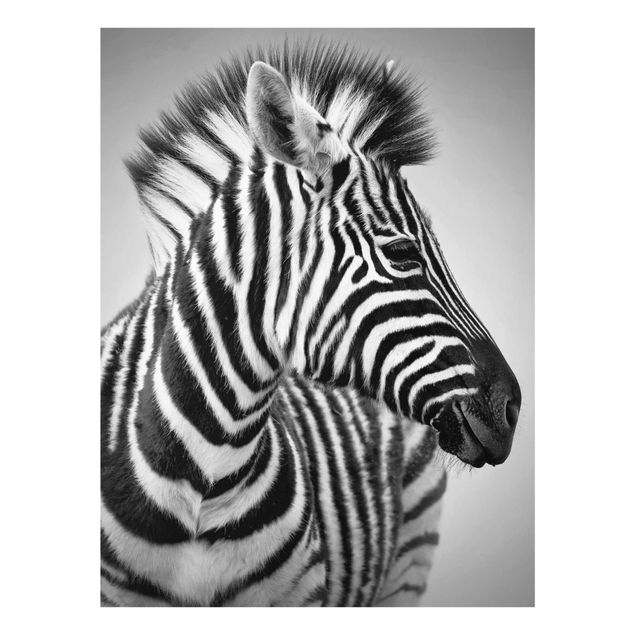 Wandbilder Zebra Baby Portrait II