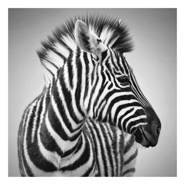 Bilder für die Wand Zebra Baby Portrait II