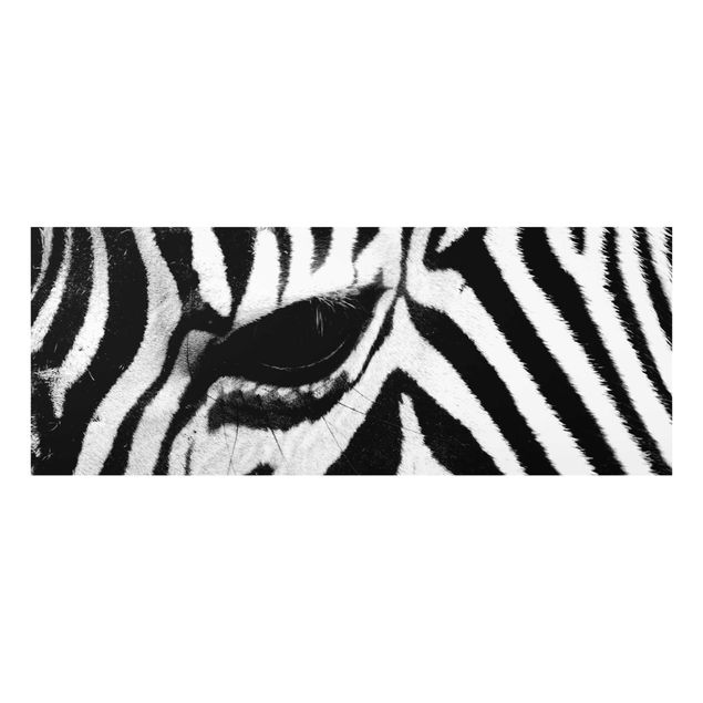 Schöne Wandbilder Zebra Crossing