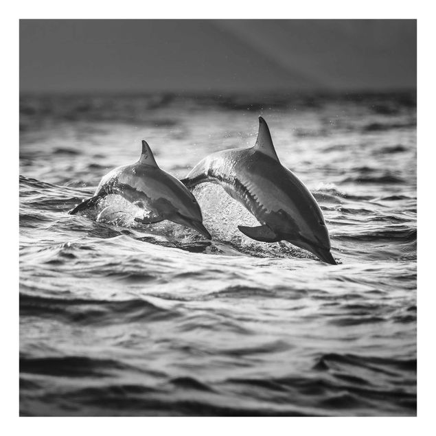 Wandbilder Zwei springende Delfine