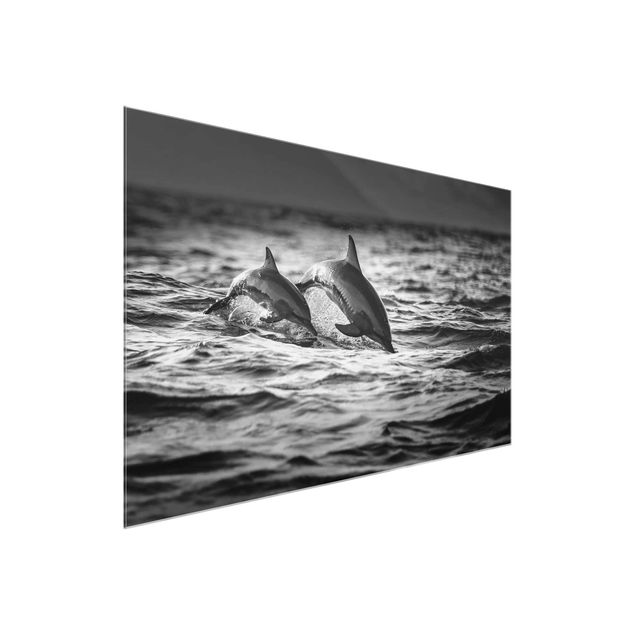 Glasbild Tiere Zwei springende Delfine