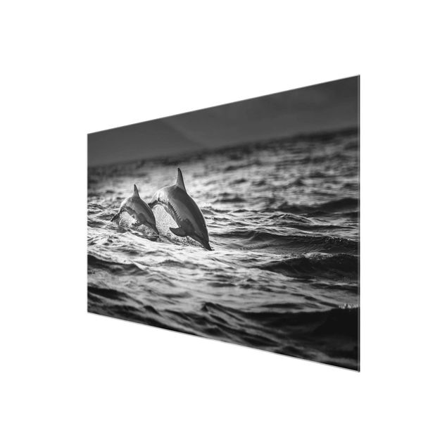 Bilder auf Glas Zwei springende Delfine