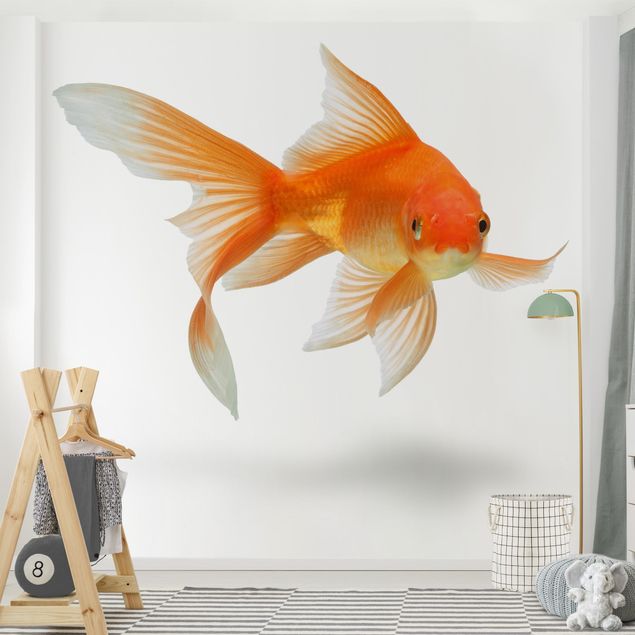 Kindertapete Tiere Goldfish is Watching you