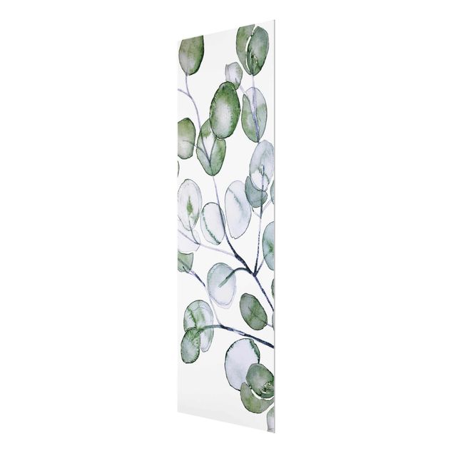 Bilder auf Glas Grünes Aquarell Eukalyptuszweig