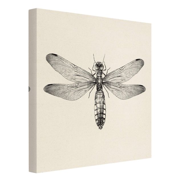 Bilder auf Leinwand Illustration fliegende Libelle Schwarz