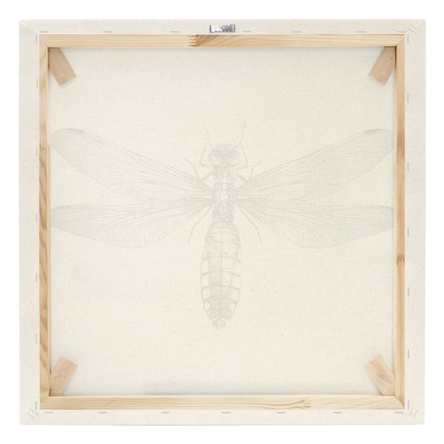 Leinwandbild Natur - Illustration fliegende Libelle Schwarz - Quadrat 1:1
