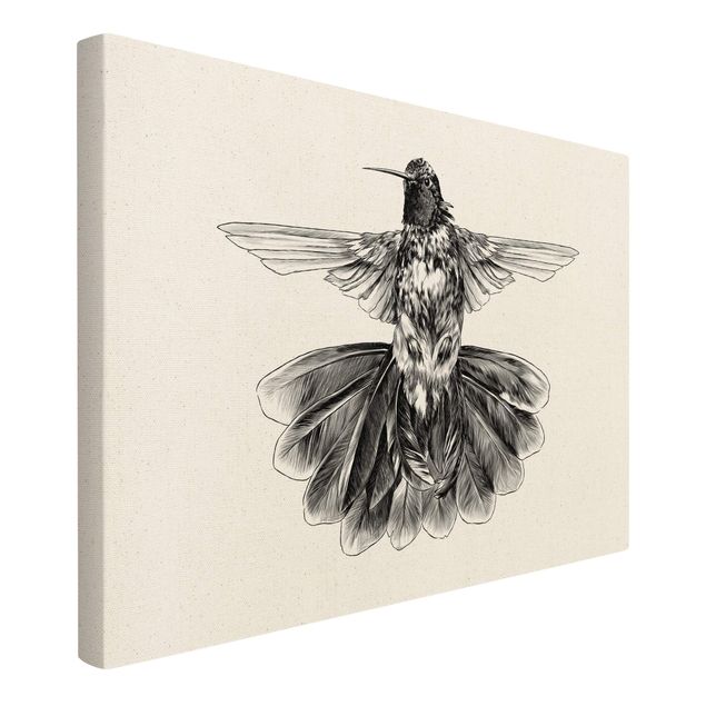 Schöne Wandbilder Illustration fliegender Kolibri Schwarz