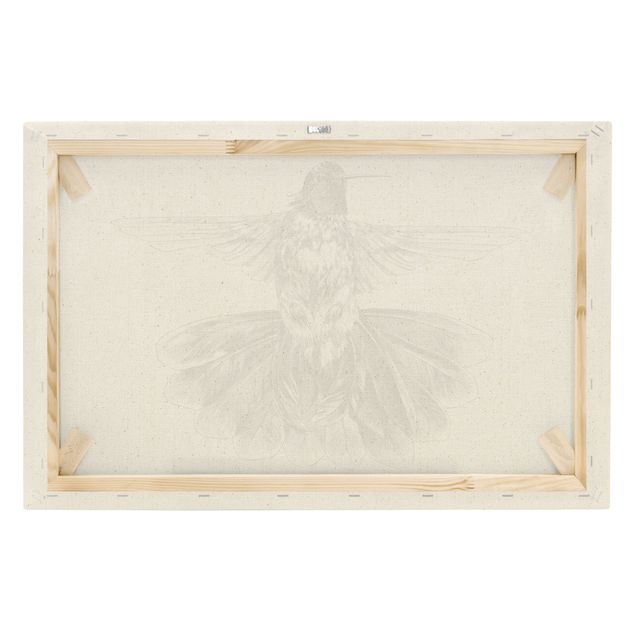 Leinwandbild Natur - Illustration fliegender Kolibri Schwarz - Querformat 3:2